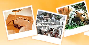 Cochin Tour Packages, Cochin Tour Packages India