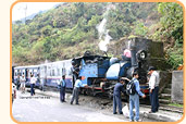 Darjeeling Tour Packages