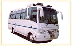 Deluxe Mini Coaches