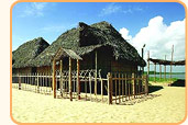 Alleppey Tour Packages